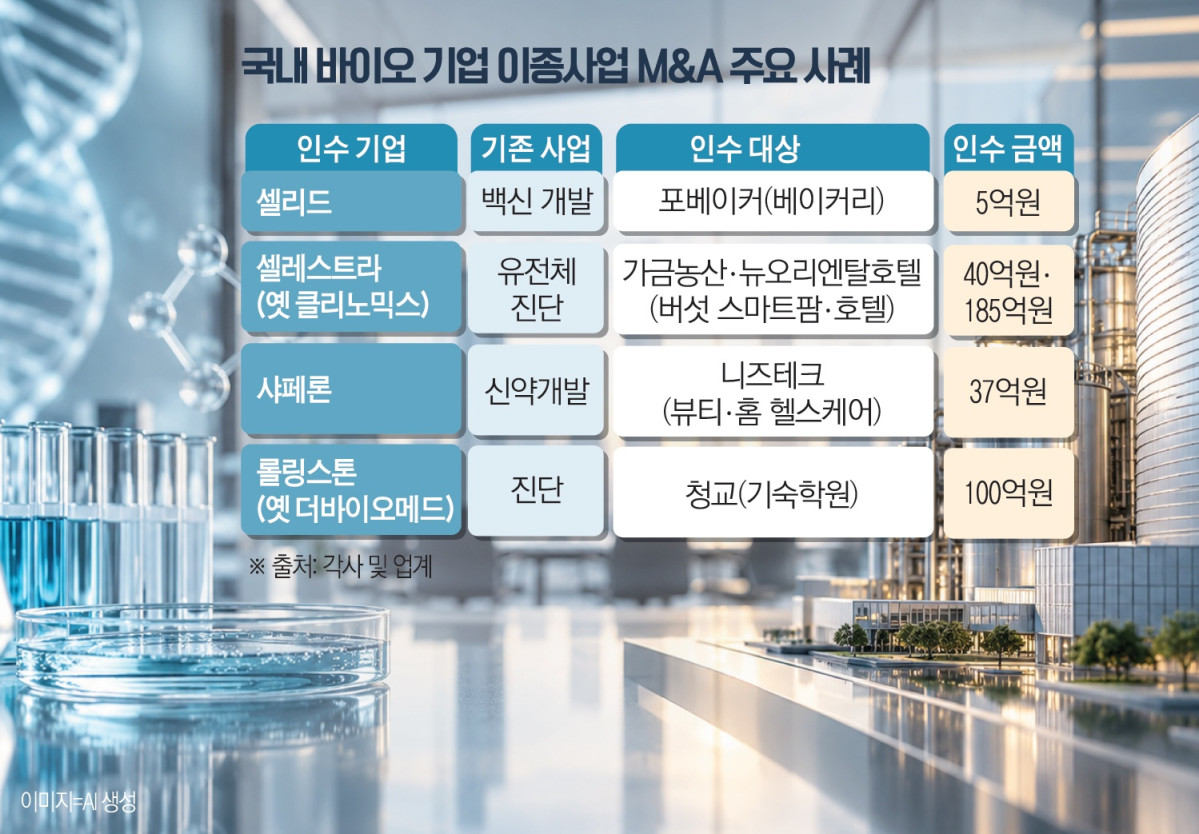 (그래픽=김소영 기자 sue@)