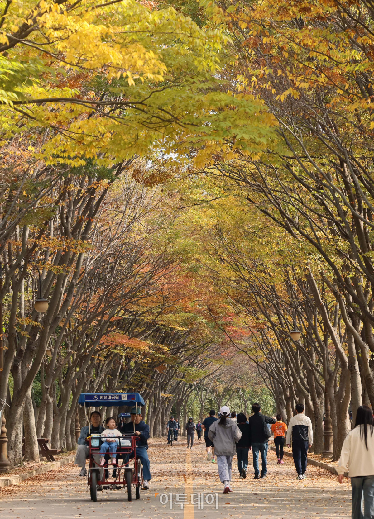 ▲완연한 가을 날씨를 보인 25일 인천 남동구 인천대공원에 울긋불긋 물든 단풍이 깊어가는 계절의 정취를 전하고 있다. (신태현 기자 holjjak@)