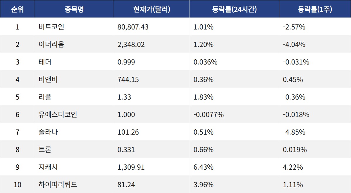 ▲자료제공=MetaVX