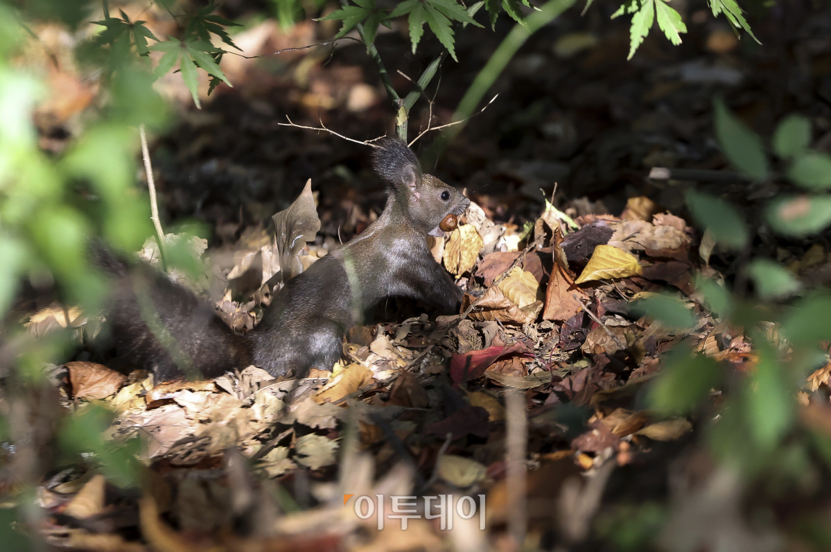 ▲고성준 기자 joonko1@