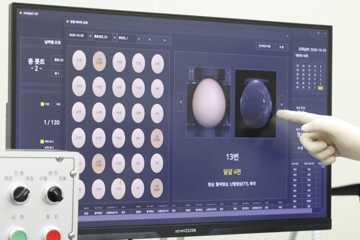 ▲AI 기반 계란 품질평가 장비를 통해 판정한 계란 이미지 (농림축산식품부 공동취재단)