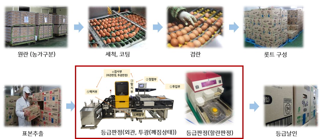 ▲AI 등급판정 절차 (자료제공=축산물품질평가원)