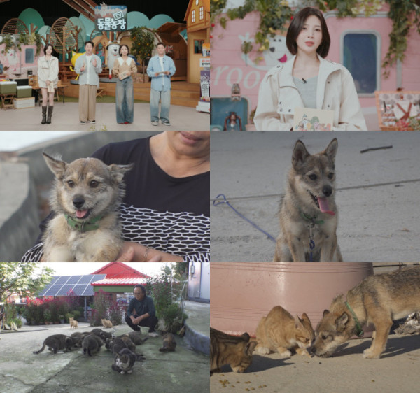 ▲'동물농장'(사진출처=SBS)