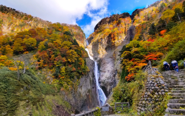 과일 매출 1위 딸기, 과식했다간 '관절' 위험