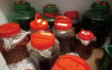 블루베리 농부의 월동 준비