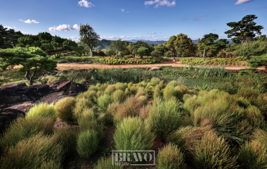 가을 정원은 쉴 만한 은신처이고 쓸쓸한 사색의 출항지다