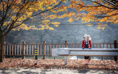 시골에서 부(富)와 자유를 얻었다