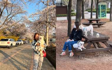 파크골프 치면 용품 받는 포인트 쌓여‘고파크워킹’ 출시