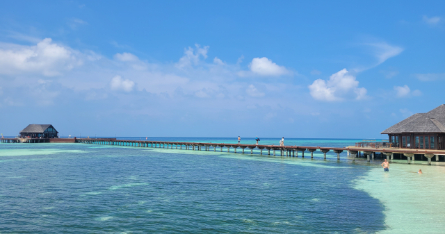 [비즈 트립] 몰디브 올후벨리, 바다에서 바다로 하루가 부족한 이유 ③